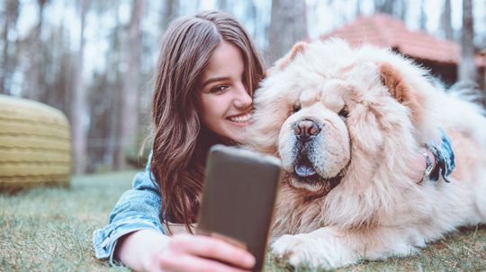 Answer These Texts From Your Dog and We'll Guess How Old You Are