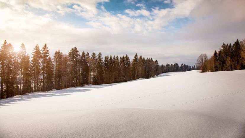 24 - Jura Mountains