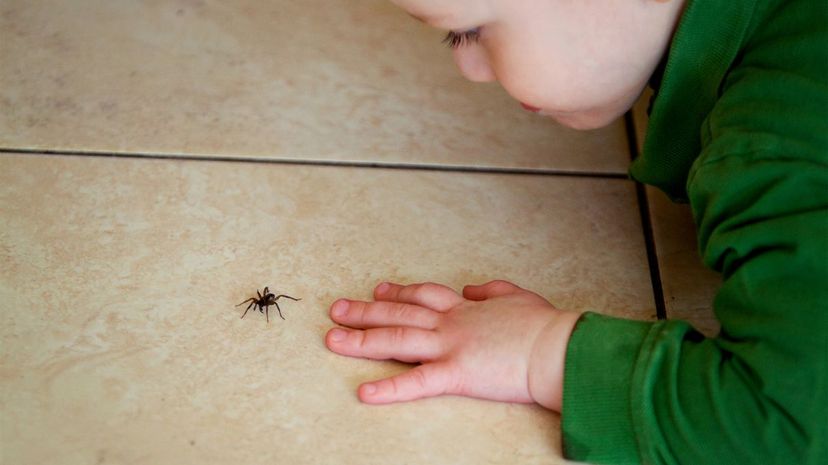 Child with spider