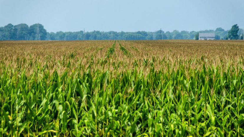 Indiana