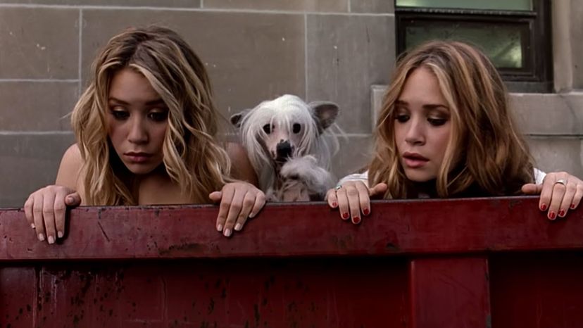 Can You Name the Olsen Twins Movie from a Screenshot?