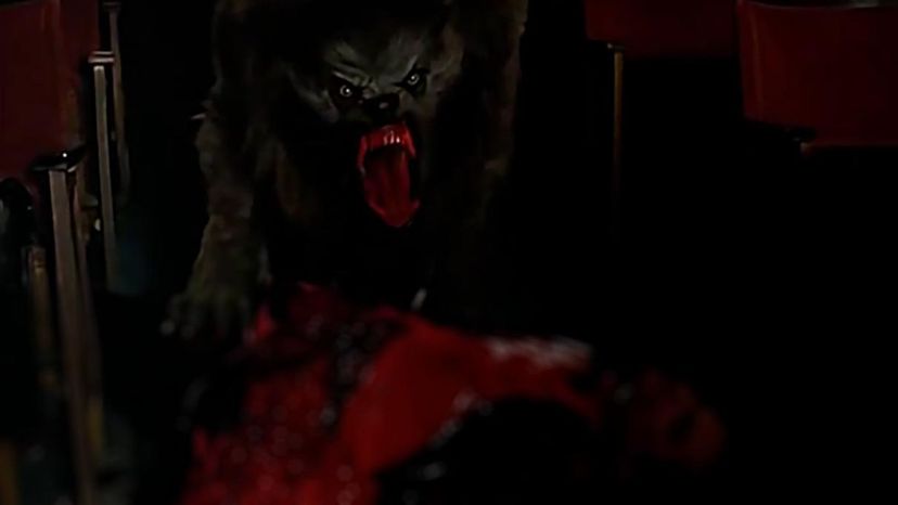 The Werewolf (An American Werewolf in London)