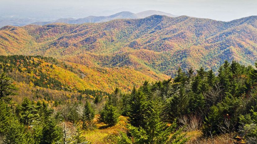 Mount Mitchell