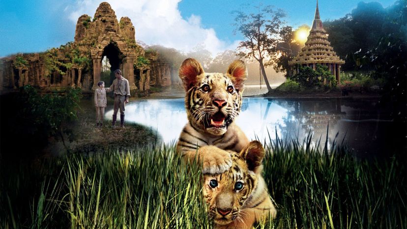 Bengal Tiger (2015) — The Movie Database (TMDB)