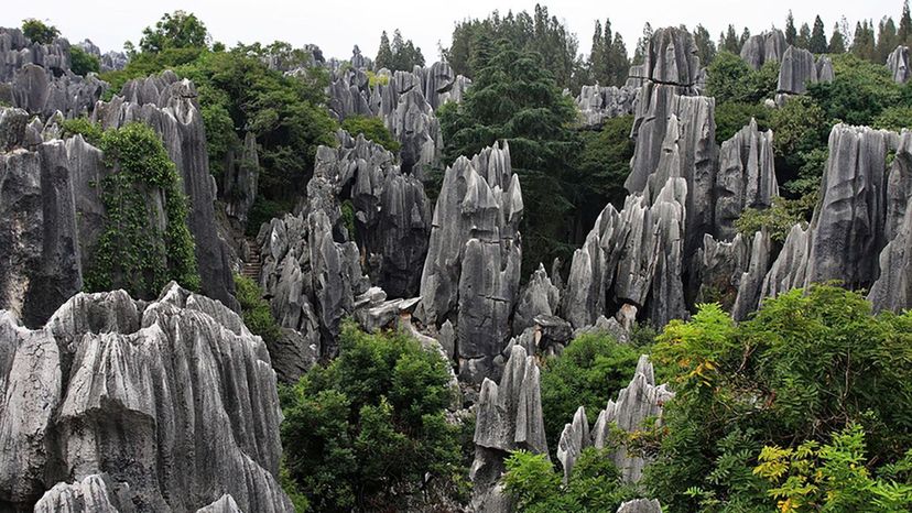 Stone Forest â€“ China