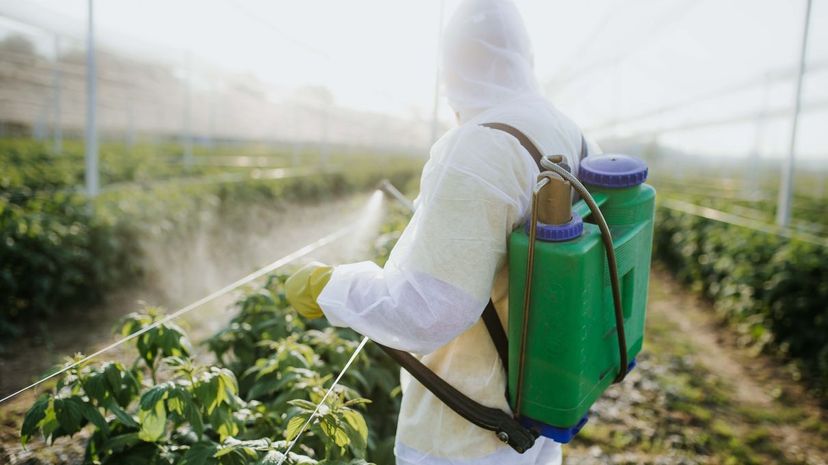 Can You Reach the End of This Quiz Without Eating Something Toxic?