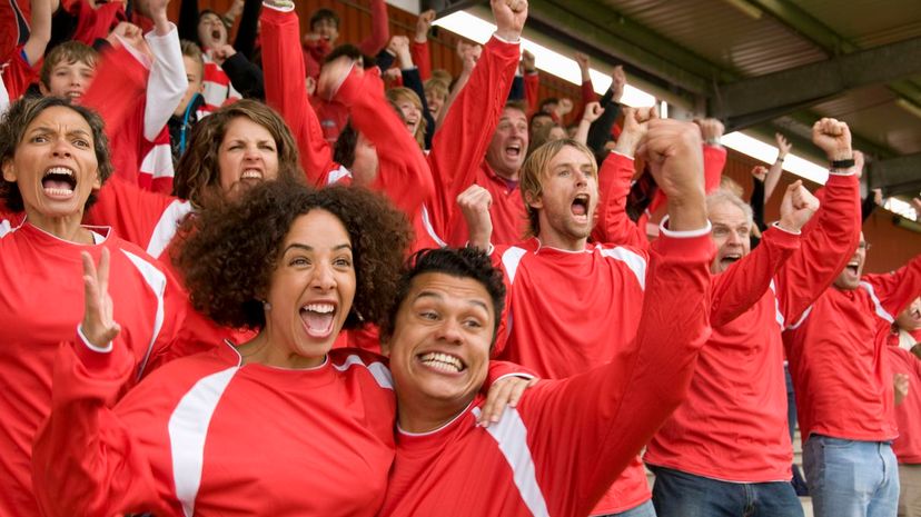 Crowd Cheering Soccer Game