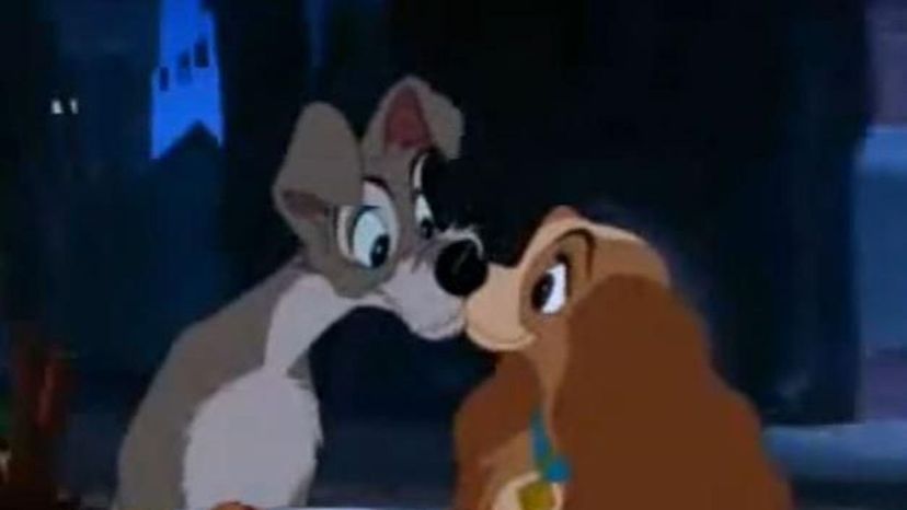 Lady and the Tramp