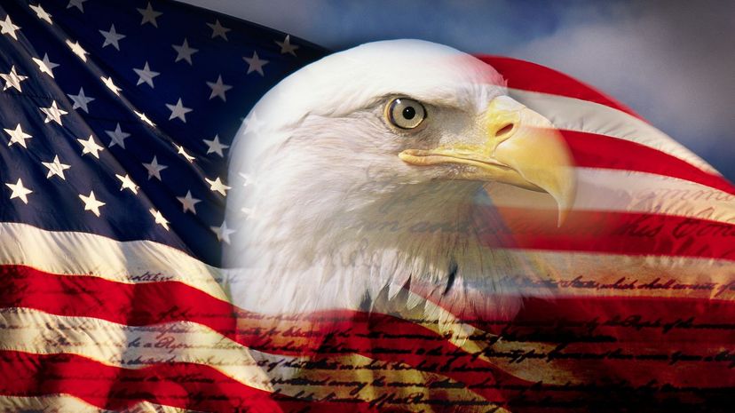 American-flag-eagle