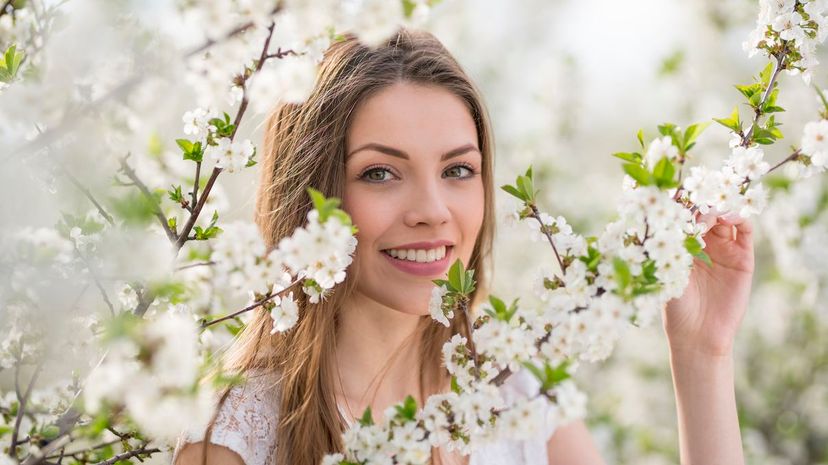 Can You Identify These Fragrant Flowers?