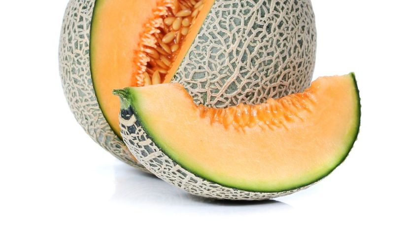 Cantaloupe