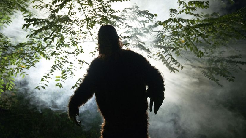 The Ultimate Bigfoot, Sasquatch or Yeti Quiz