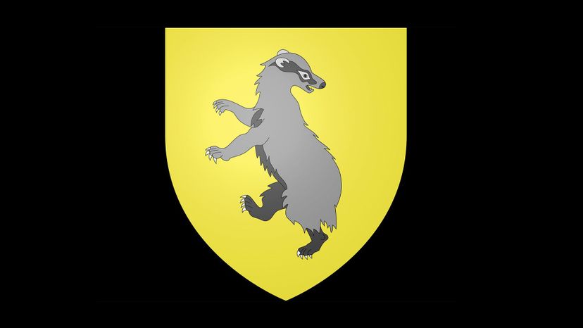 Hufflepuff Coat arms 