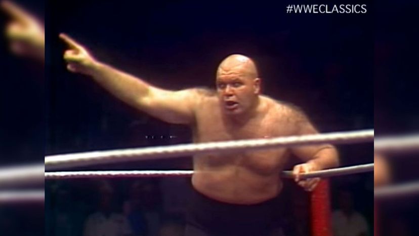 George The Animal Steele