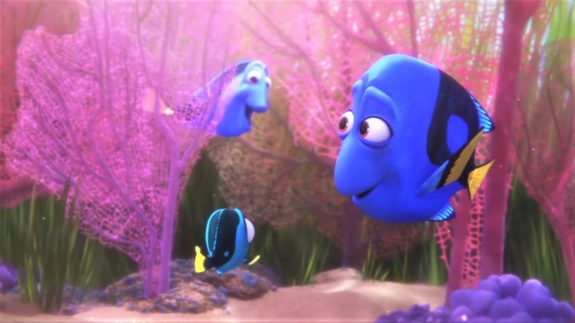 33 Finding Dory
