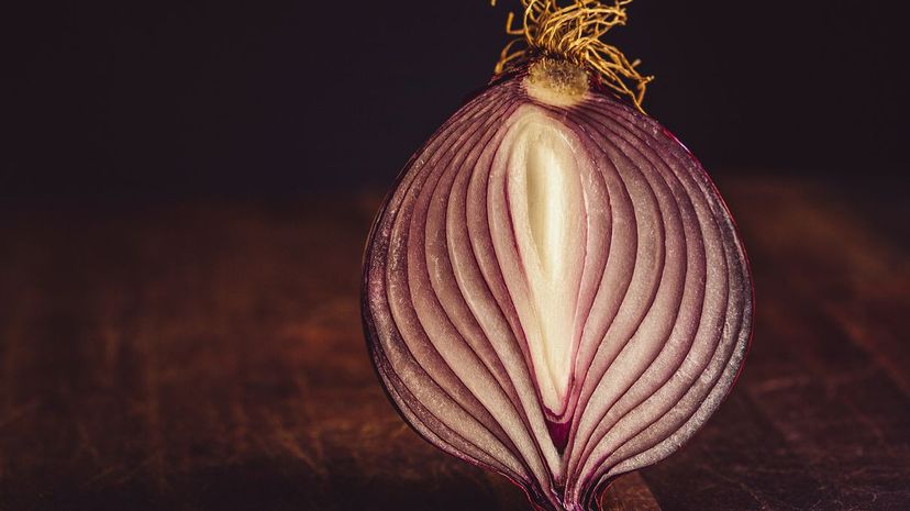 6-Onion”border=