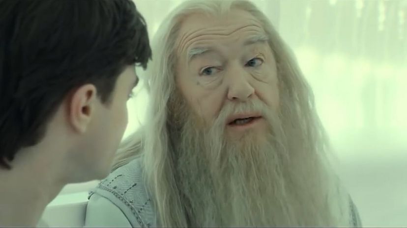 Albus Dumbledore12