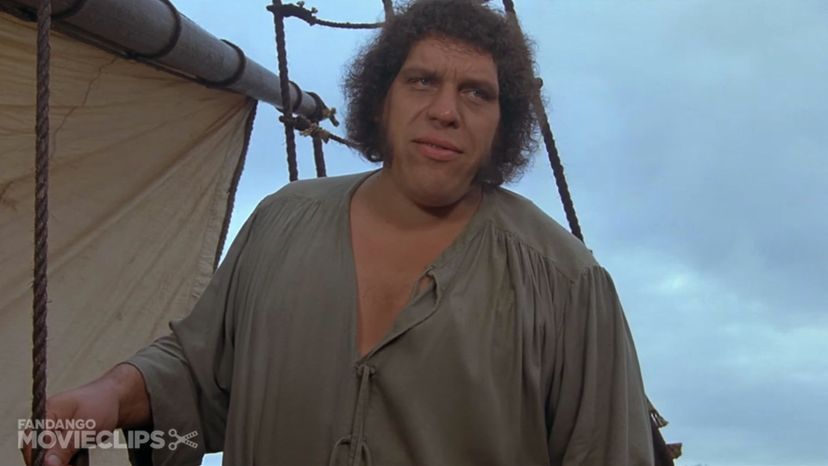 Movie- The Princess Bride (1987 - Act III Communications); Athlete- AndreÃŒÂ the Giant 