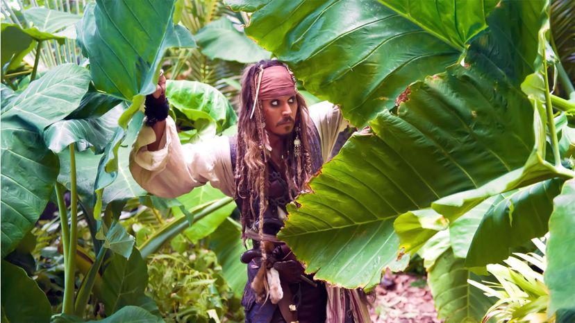 Pirates of the Carribean On Stranger Tides 7