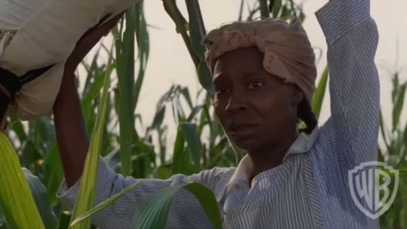 Whoopi Goldburg -&gt; Celie Harris-Johnson (The Color Purple) copy