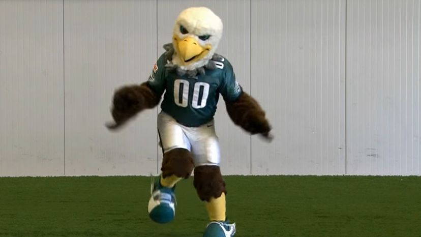 Real World NFL Mascots (Pictures) Quiz - By CDB1986