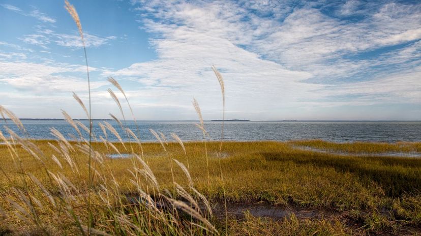 Coastal Plains