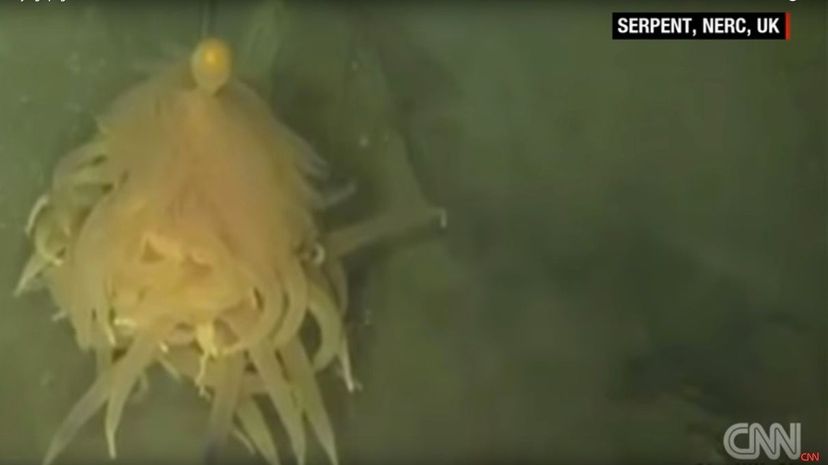 3 Flying Spaghetti Monster