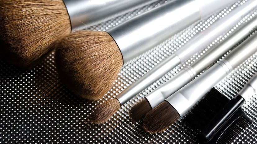 Various makeup brushes