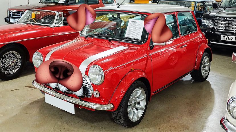 MINI Cooper