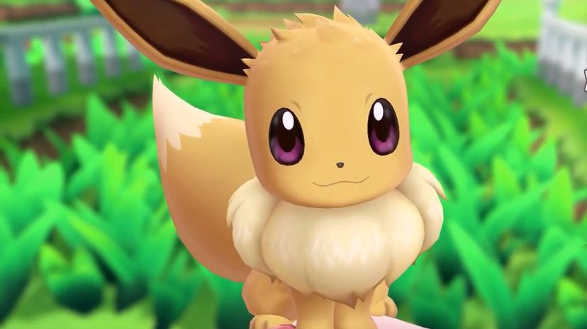 Eevee