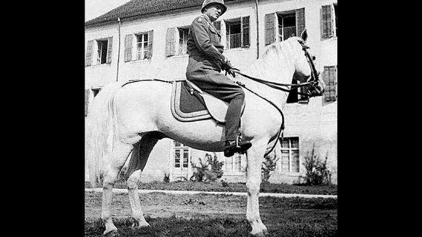 21-Horse