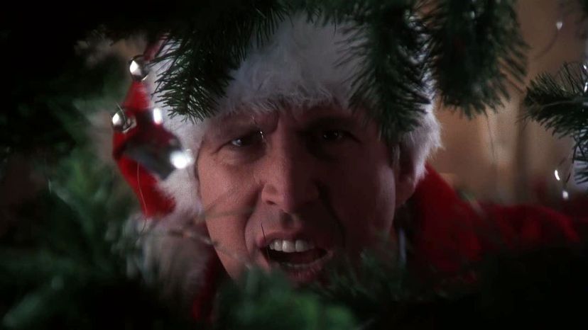 National Lampoons Christmas Vacation 1