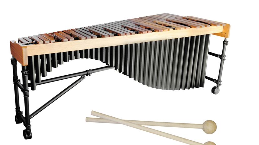 Xylophone