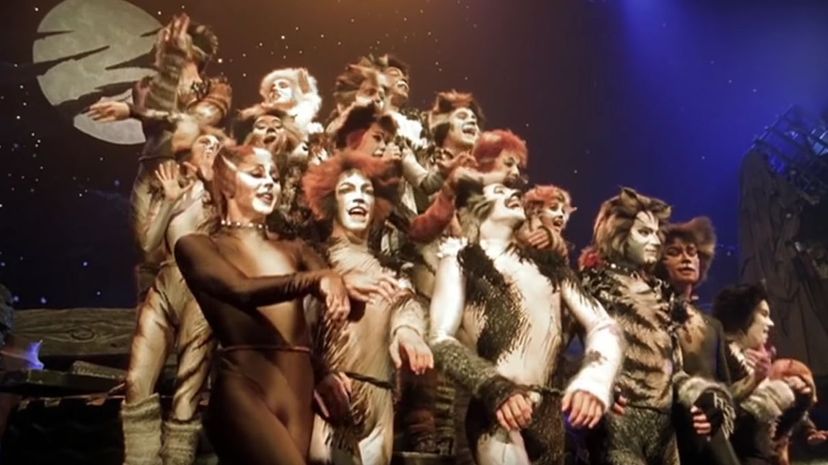 28-Cats-Stage