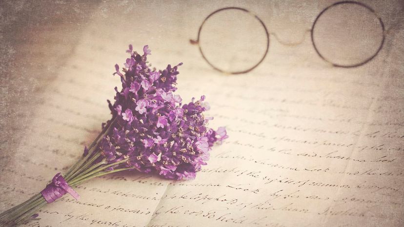 30 lavender flowers vintage writing