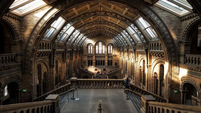 Natural History Museum