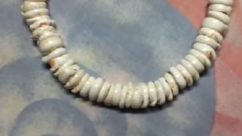 Puka shell necklaces