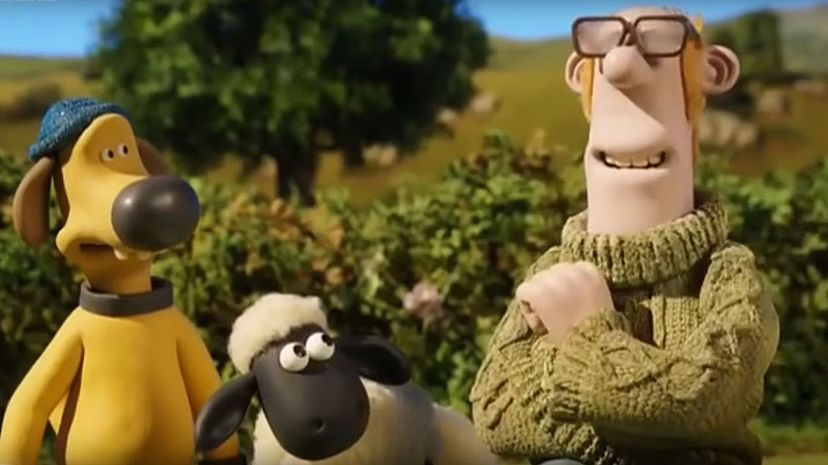 Question 13 - Shaun the Sheep