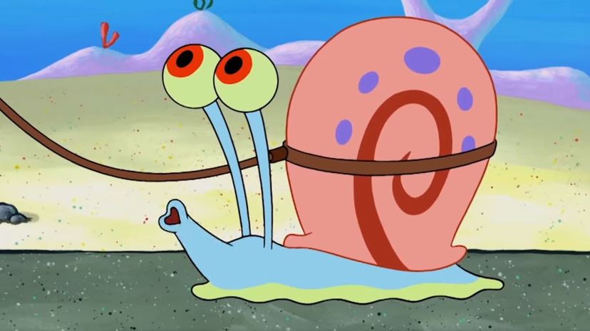 Gary the Snail