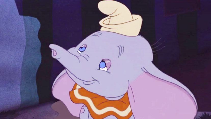 Dumbo