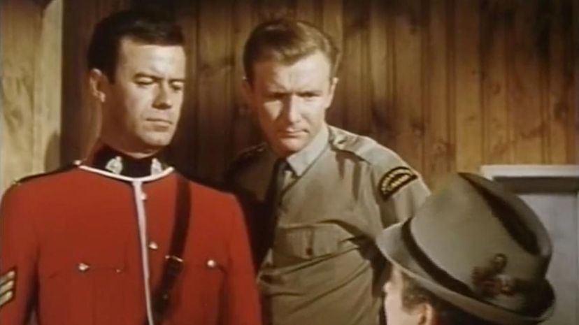 16 - The Forest Rangers