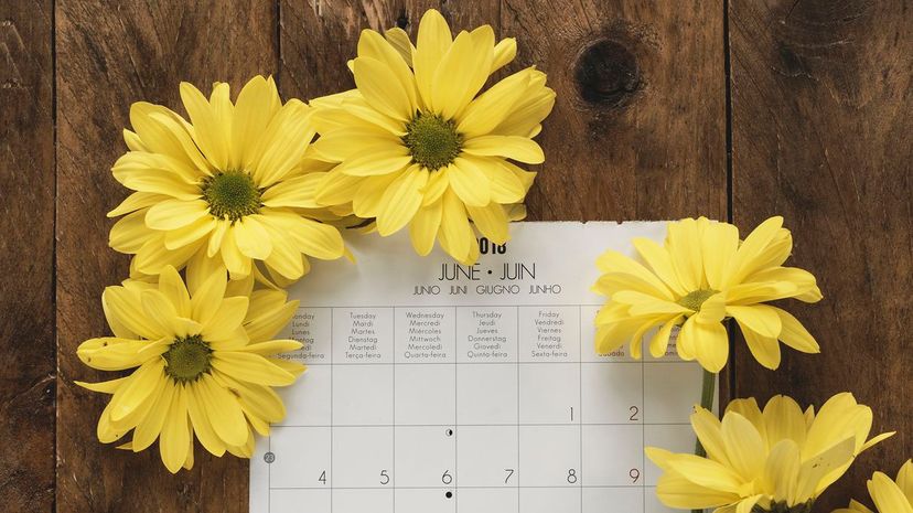 23 Calendar and daisies