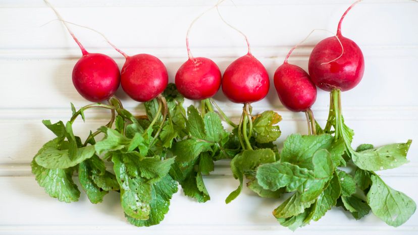 27 Radishes GettyImages-147445795