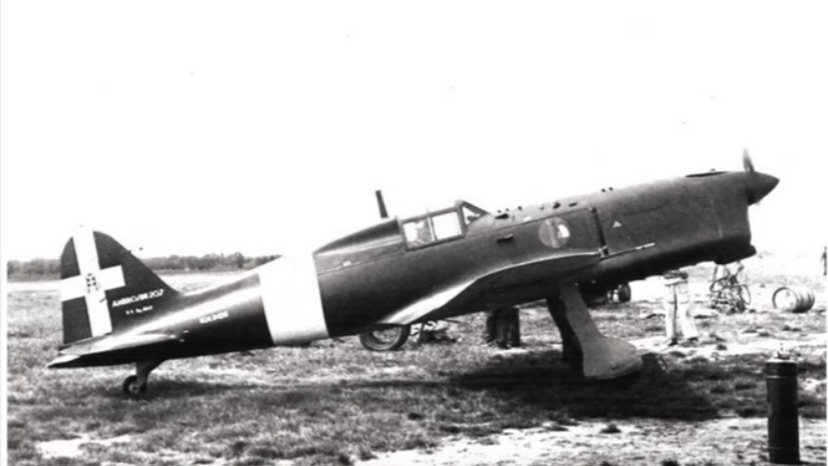 Ambrosini SAI.207