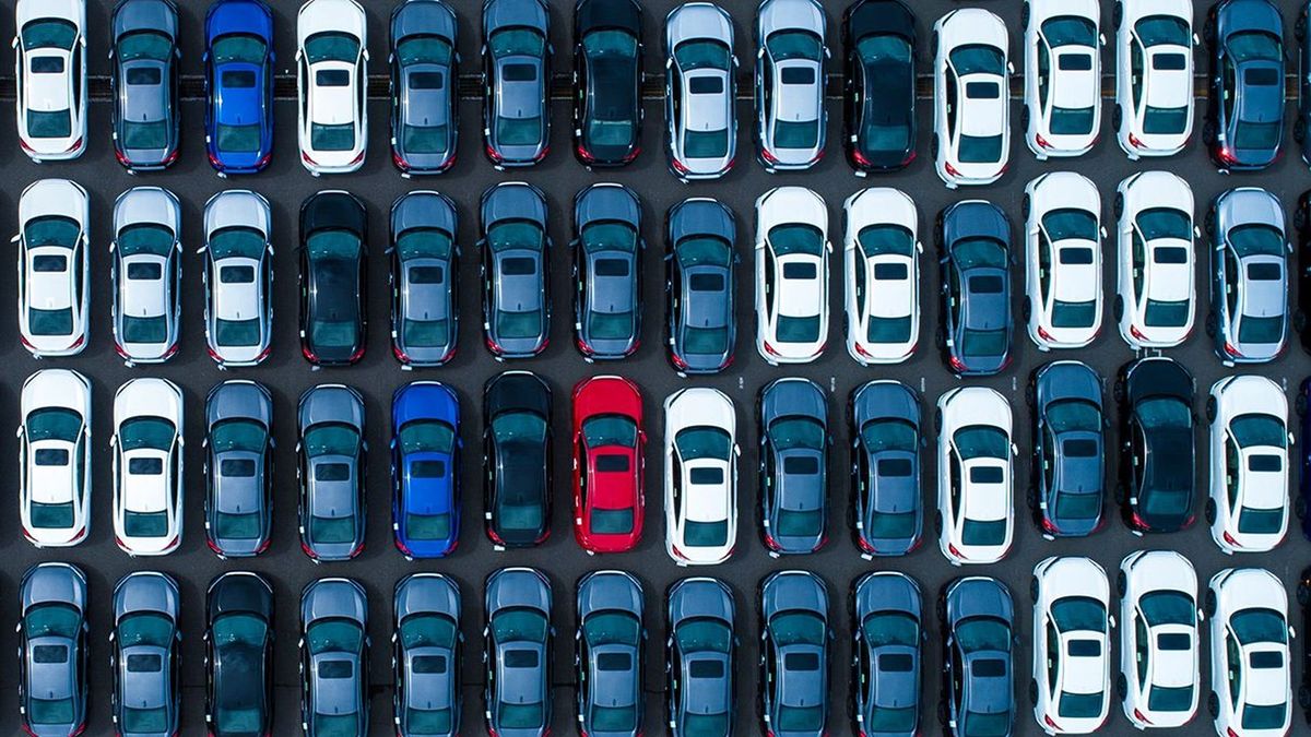Can We Guess What Color Your Car Is? | Zoo