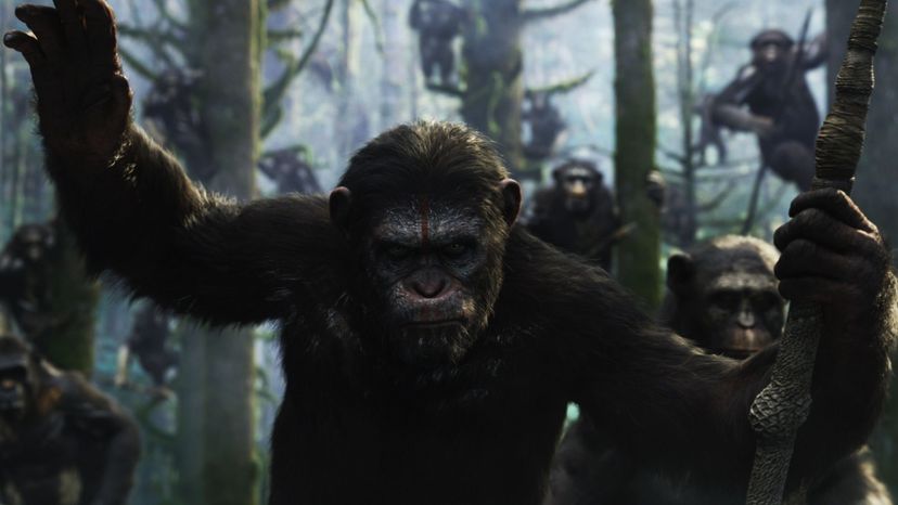 Dawn of the Planet of the Apes (2014)_6