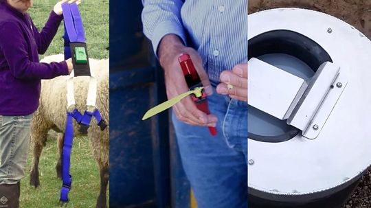 Can You Identify All Of This Ranching And Livestock Equipment?