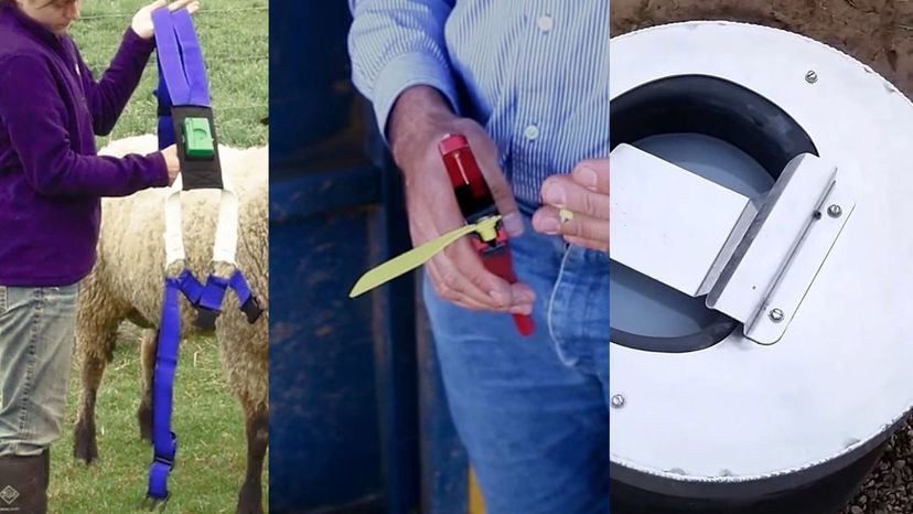 Can You Identify All Of This Ranching And Livestock Equipment?