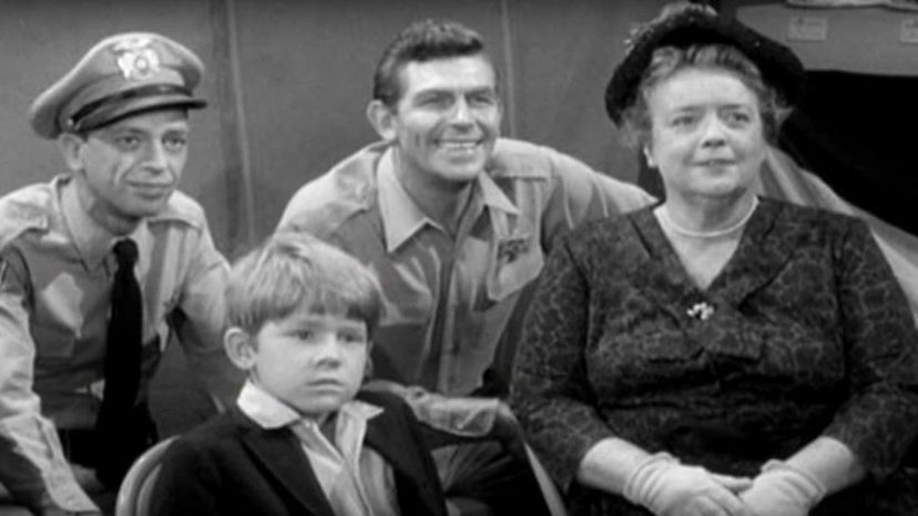 Which Andy Griffith Show Character Are You