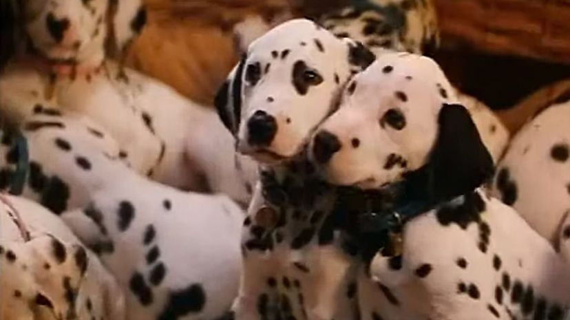101 Dalmatians